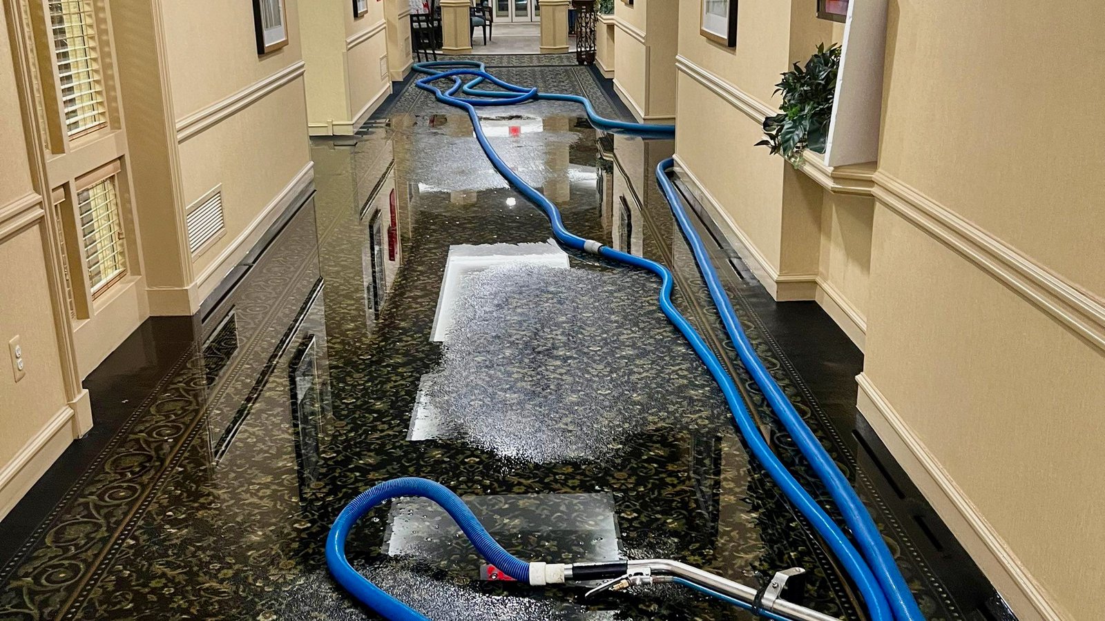 Water Removal
