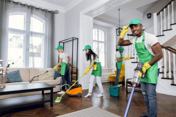 Professional Cleaning