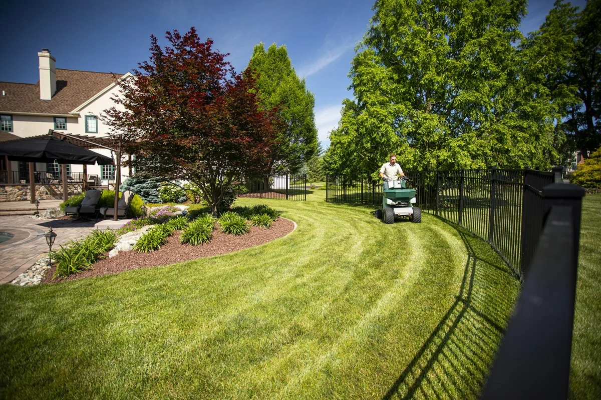 Lawn Care vs Landscaping vs Tree Service