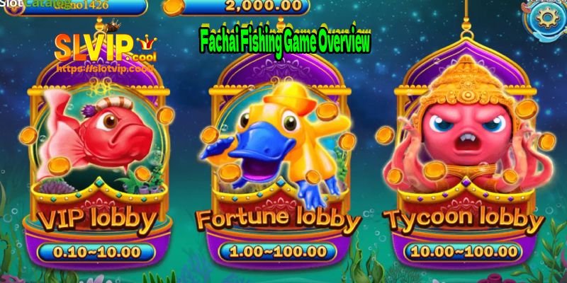 Is Fachai Worth Your Time? We Played 100 Spins to Find Out