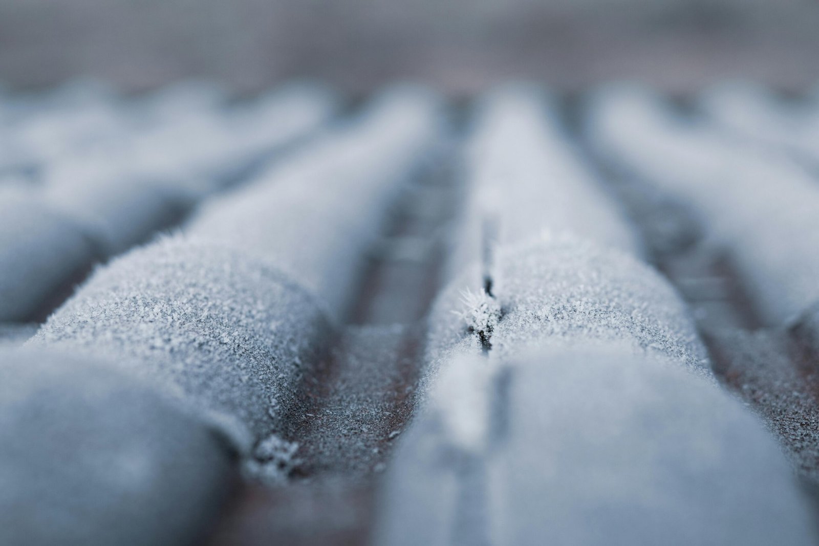 roof in winter