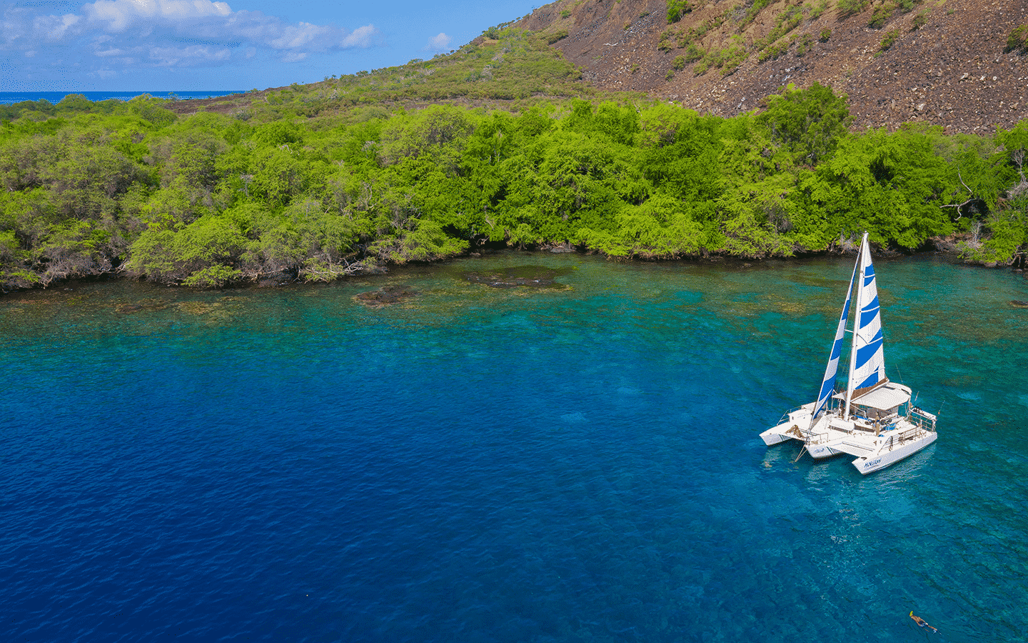 Kona snorkeling tours company