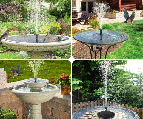 Creating a Bird Paradise: Smart Use of Solar Fountains in Bird Baths