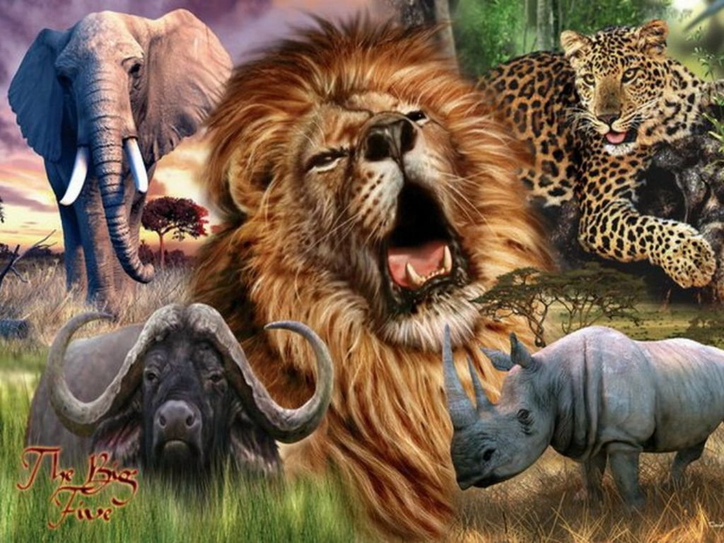 Discover Africa’s Big 5 and Small 5 on an Unforgettable Safari