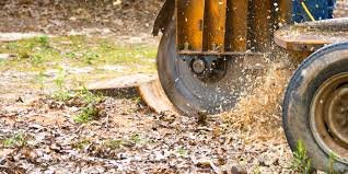 Stump Grinding