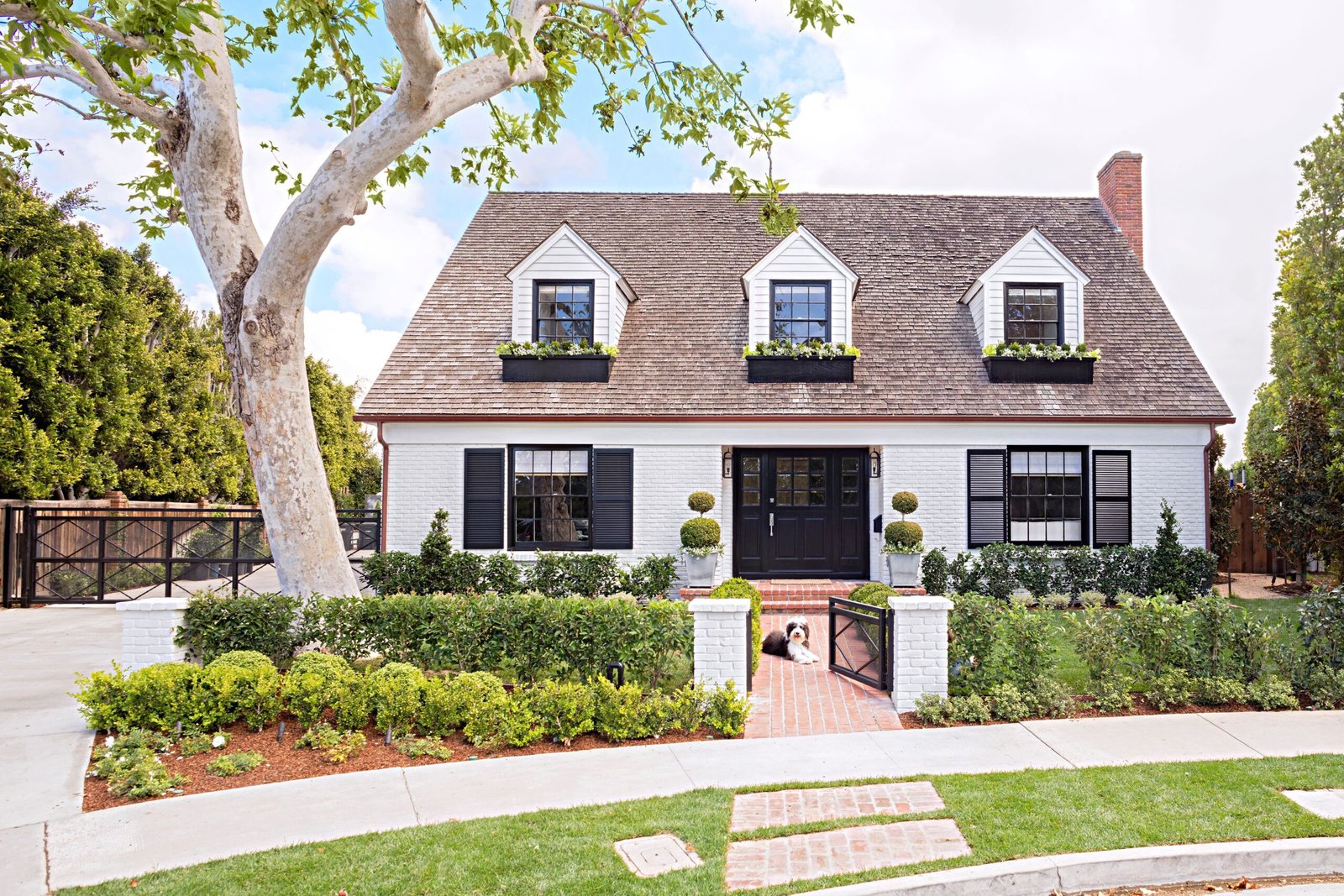 Modern Home Makeover