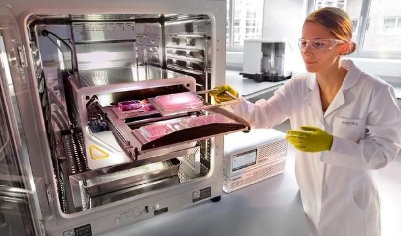 How antibody discovery services Are Transforming Healthcare