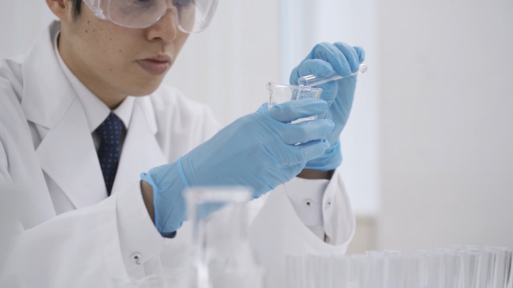 Ingest Labs