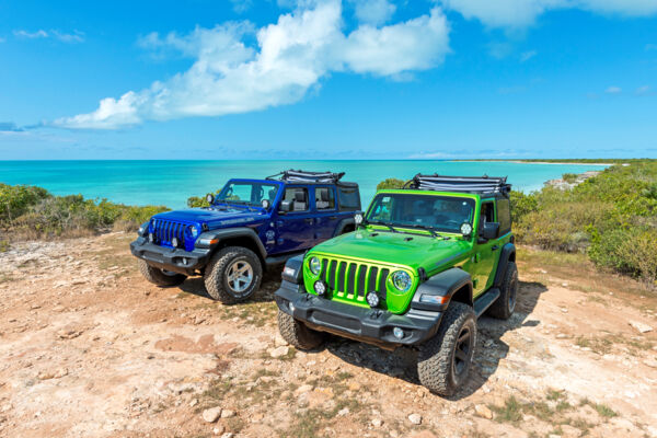 Car Rental