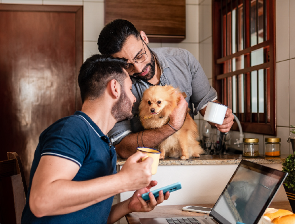 Pet's Health