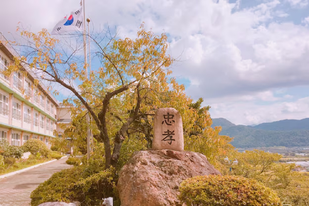 Understanding the Culture Behind This Industry