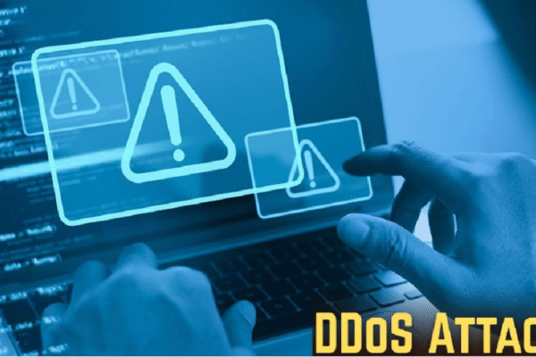 Large-Scale DDoS Attacks