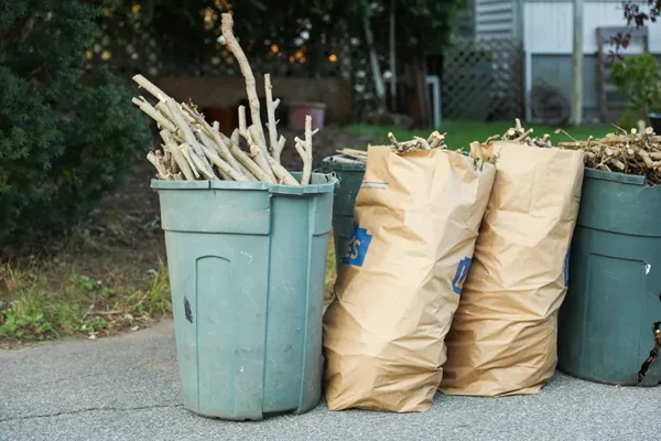Outdoor Cleanup