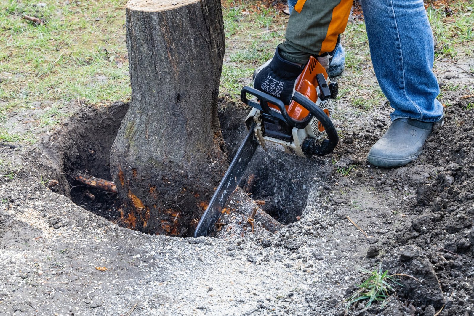 DIY Stump Grinding