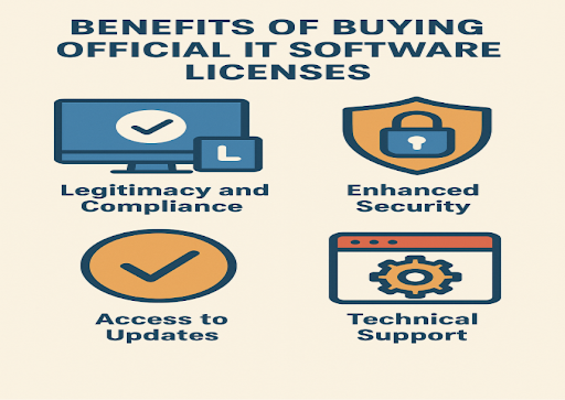IT Software Licenses