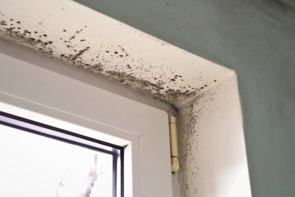 Do You Need an Extractor Fan in Your Bathroom?