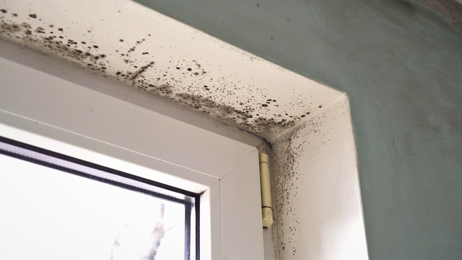 Do You Need an Extractor Fan in Your Bathroom?