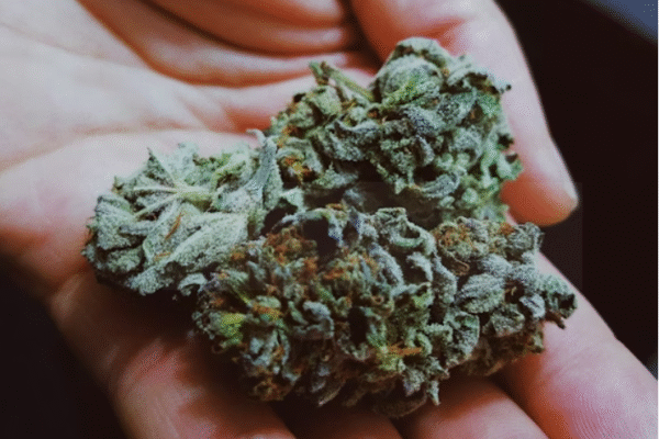 Weed delivery in Canada