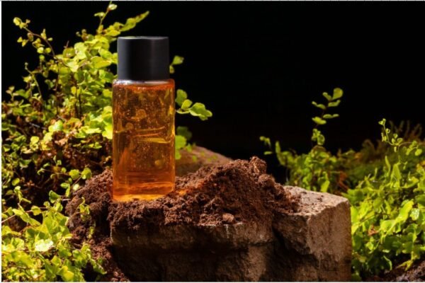 Christian Cavagna Perfume