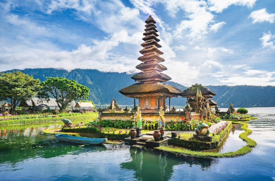 Bali Tour Guide