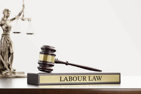 Workplace Rights Every Employee Should Know about