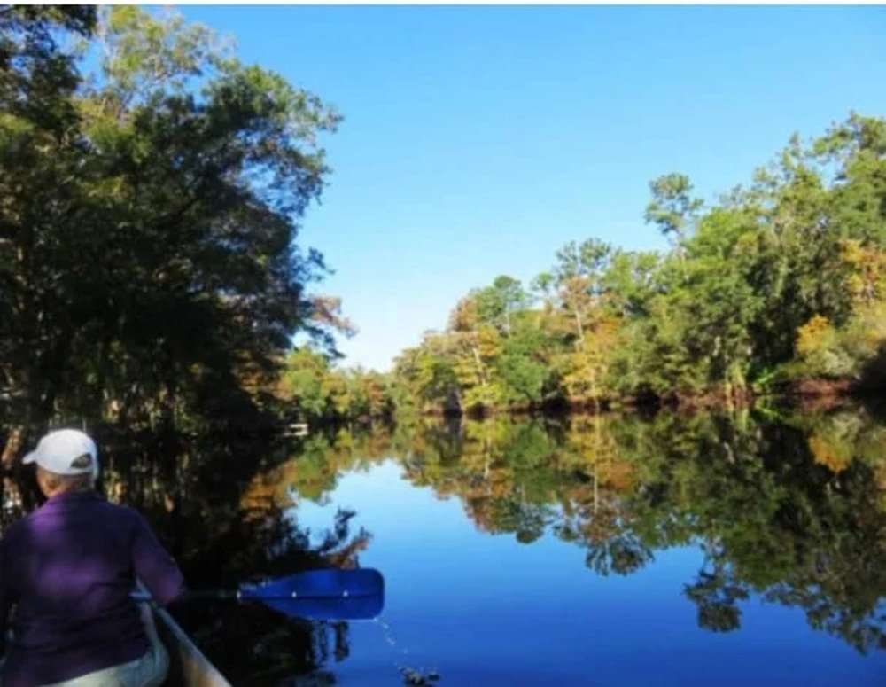 A Journey Along Florida’s Hidden River