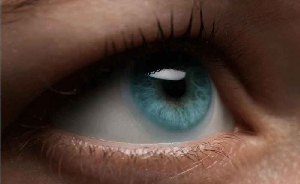 World Of Contacts Coloured