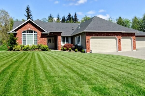 Professional Aeration Services for a Healthier Lawn
