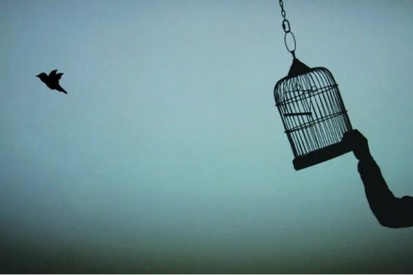 The Mental Freedom of Letting Go of Blame