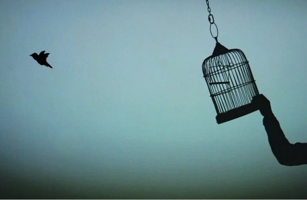 The Mental Freedom of Letting Go of Blame