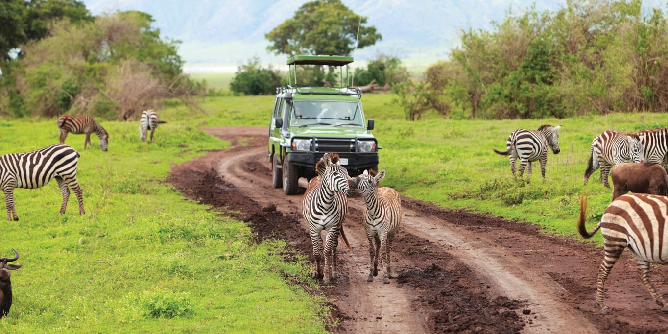 Kenya and Tanzania combined safari tour with wildlife, savannah landscapes, and safari vehicles