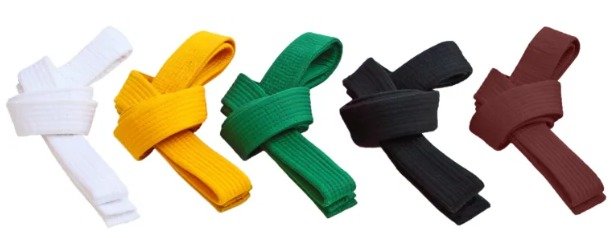 Lean Six Sigma Belts