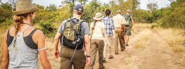 Walking safari adventure in Africa with travelers exploring wildlife on foot