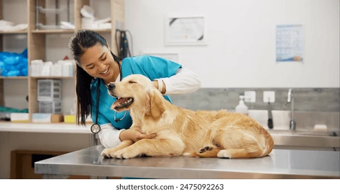 Veterinarian using stress-reducing strategies to keep pets calm during vet visits