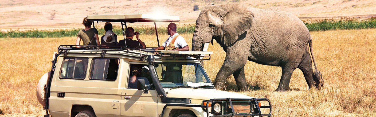 Tanzania Day Trip Tours – Explore wildlife, culture, and scenic landscapes in a single day
