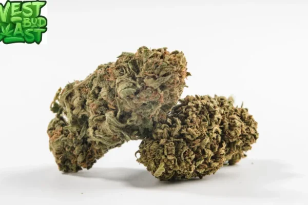 Buying Cannabis Online