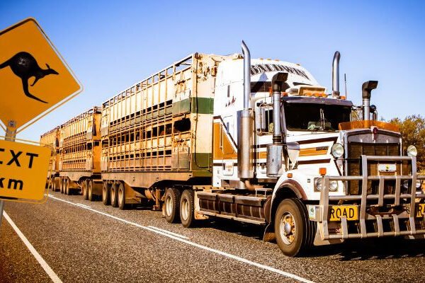Why Heavy-Duty Trucks in Australia Are Essential for Industrial Performance
