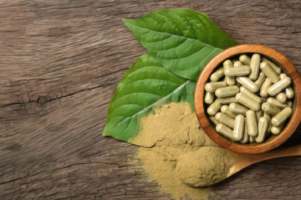 Kratom Ban Update – States Where Kratom Is Illegal 2025 Kratom Ban Update – States Where Kratom Is Illegal 2025