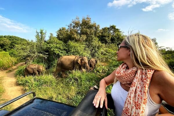 How to Plan Your First African Safari: Everything You Need to Know How to Plan Your First African Safari