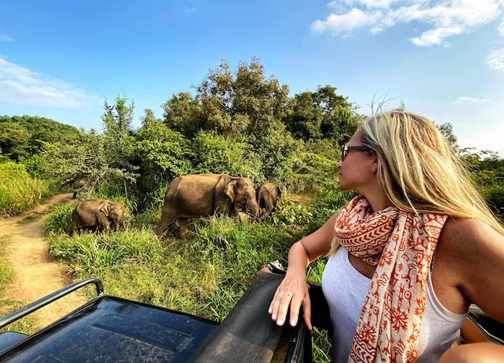 How to Plan Your First African Safari