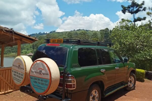Uganda car rental and self-drive tours
