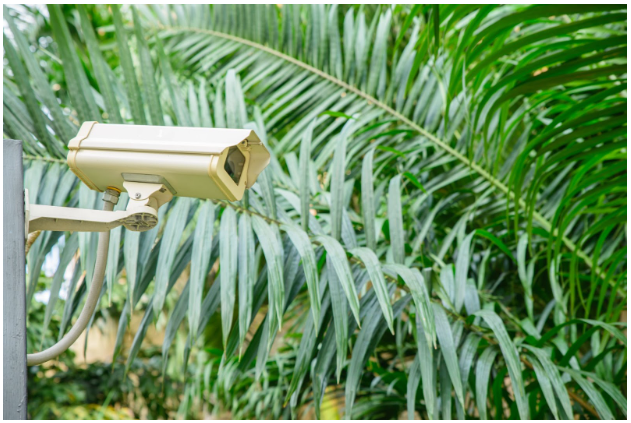 Outdoor Security Camera System