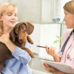 How General Veterinarians Partner With Specialists When Needed