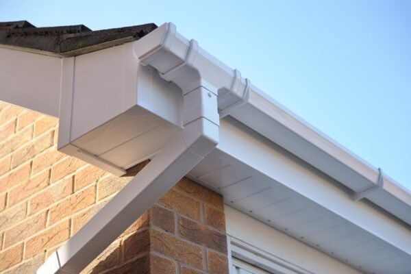 From the Rockies to the Coast: What Every Homeowner Should Know About Gutter Longevity