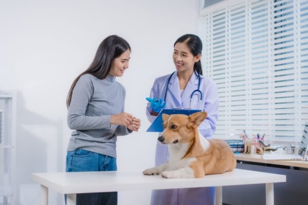 Veterinarian educating a pet owner about animal health and care