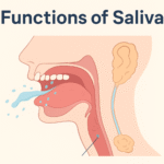 Saliva: The Unsung Hero of Oral Health