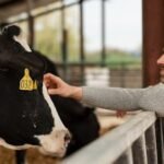 5 Feed Additives That Support the Health and Productivity of Livestock