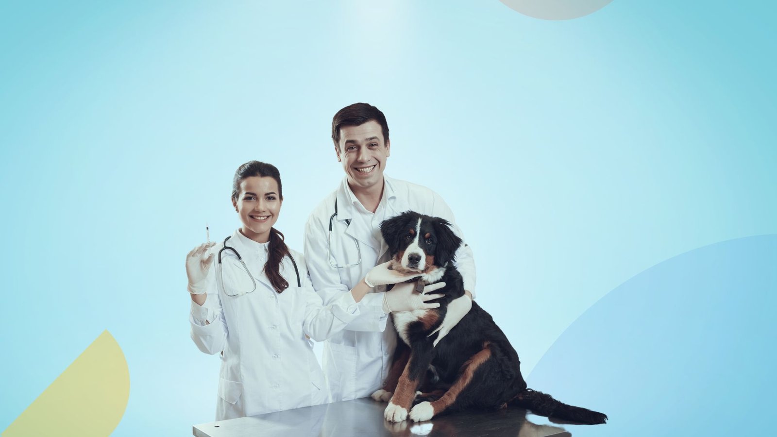 Veterinarian using advanced diagnostic technology to treat a pet in an animal hospital