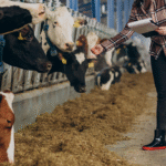 5 Feed Additives That Support the Health and Productivity of Livestock