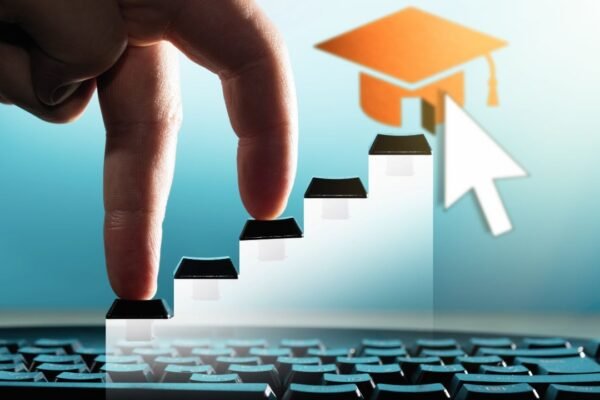 recifest org is real